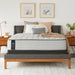 Summer Rose Innerspring Mattress - homePLUS (Binghamton, NY)