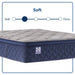Midnight Bliss Spring Mattress - homePLUS (Binghamton, NY)