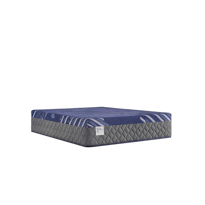 Westerfield Hybrid Mattress - homePLUS (Binghamton, NY)