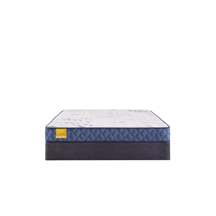Glacier Park Foam Mattress - homePLUS (Binghamton, NY)