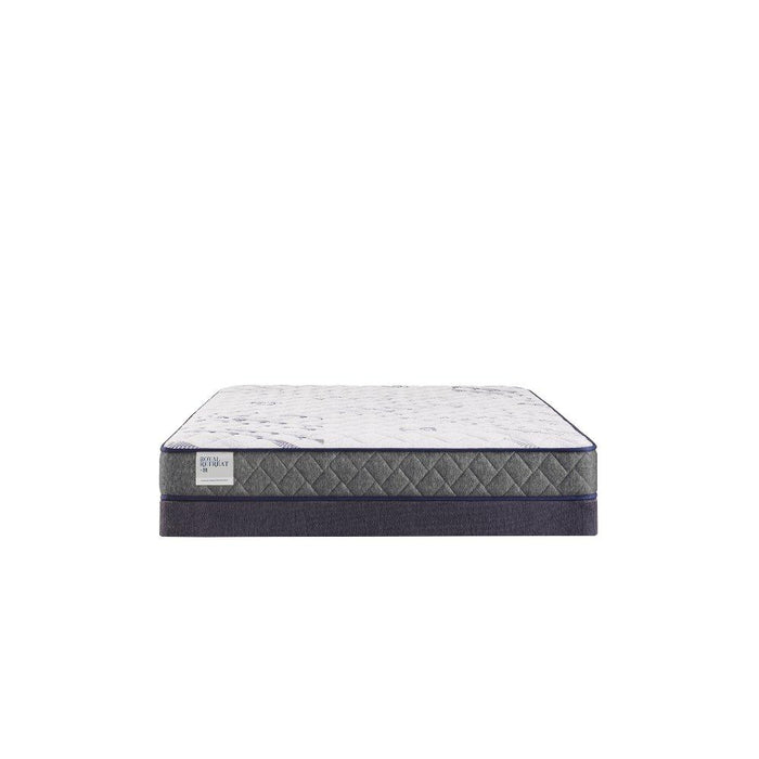 Paisley Foam Mattress - homePLUS (Binghamton, NY)