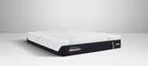 Tempur-Pedic Adapt Medium Hybrid Mattress - homePLUS (Binghamton, NY)