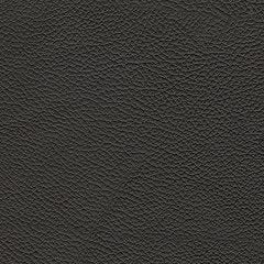 5Z-Relaxation Power Reclining Sofa - homePLUS (Binghamton, NY)