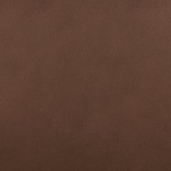 Pincara Power AutoGlide Recliner - homePLUS (Binghamton, NY)