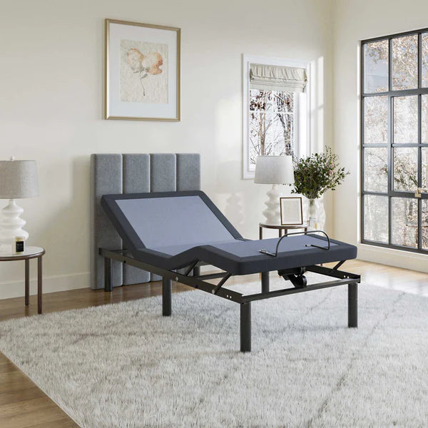 BedTech 2500 Adjustable Base